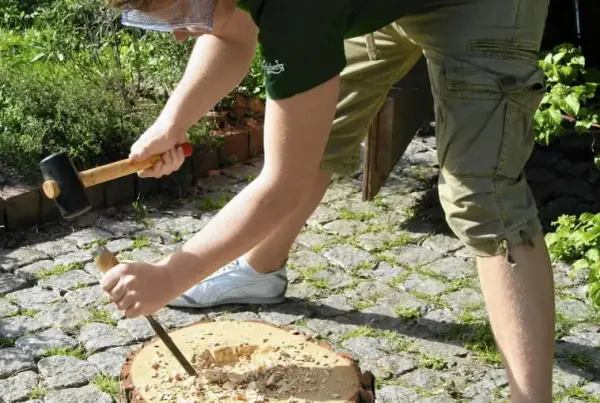 Prosty sposób na piękny kwietnik z pnia drzewa bez specjalnych umiejętności