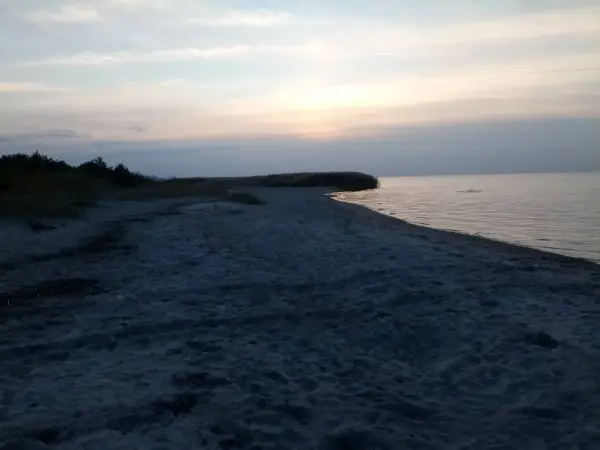 Spokojna, piaszczysta plaża o zmierzchu. W oddali widać zarośla trzciny i spokojne morze.