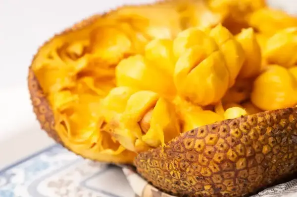 Odkryj smak jackfruit po polsku! Soczyste, żółte miąższowe segmenty owocu w skorupie.