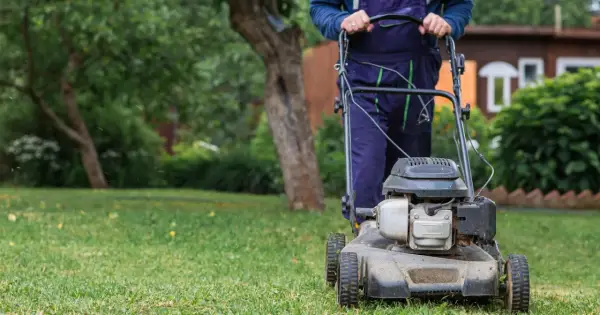 Mężczyzna w niebieskich ogrodniczkach kosi trawnik. Widać skoszoną, suchą trawę po pracy kosiarki.