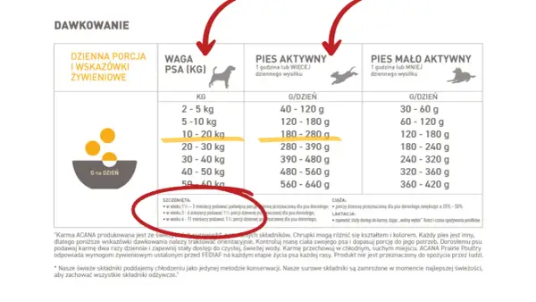 Ile karmy dla szczeniaka Cavaliera? Dawkowanie i żywienie