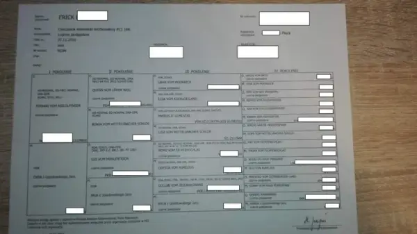 Jak uzyskać rodowód dla psa - proste kroki i ważne informacje