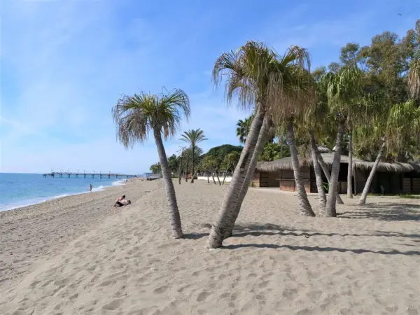 Piękny marbella beach z palmami, piaskiem i błękitnym niebem. W oddali widać molo i kilka osób odpoczywających na plaży.