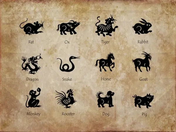 Chiński Zodiak - Sprawdź Swój Znak i Prawdziwe Znaczenie!