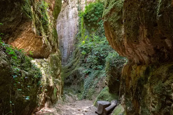 Un sentiero stretto tra alte pareti rocciose ricoperte di muschio e vegetazione. Un luogo selvaggio dove la natura regna sovrana, cosa vedere in questo canyon incantato.