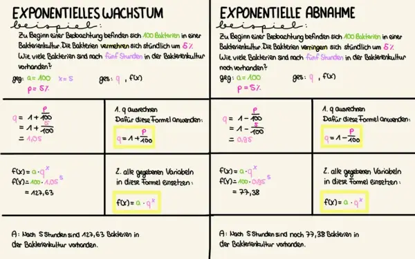 Die Formel für exponentielles Wachstum wird anhand eines Bakterienbeispiels erklärt.