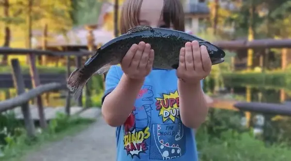 Gdzie zjeść najlepszego pstrąga w urokliwej Szczawnicy? 3 miejsca