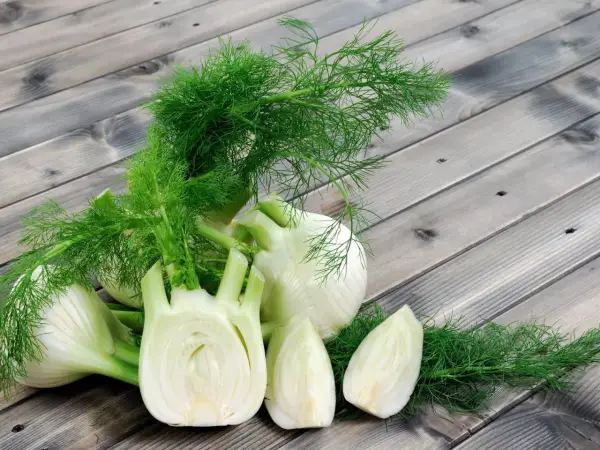 Frischer Fenchel, bekannt für seine verdauungsfördernden Eigenschaften, ist eine beliebte Wahl während der Schwangerschaft. Hier liegen ganze und angeschnittene Knollen auf Holzbrettern.