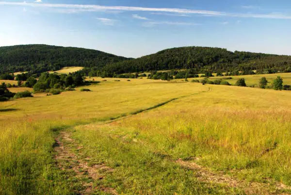Gorlice - Beskid Niski. Trasy piesze i praktyczne wskazówki