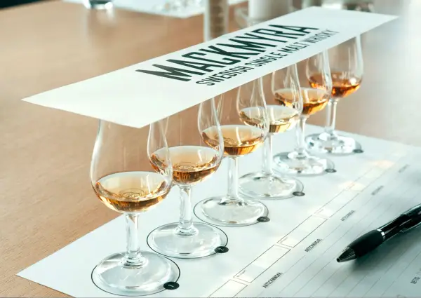 Mackmyra whiskyprovning med sex glas gyllene whisky uppradade på ett bord. En penna ligger redo för anteckningar.