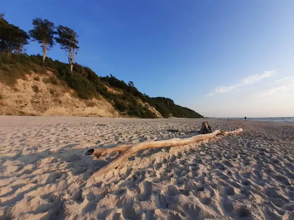 Dębina - atrakcje, plaża i co warto zobaczyć?