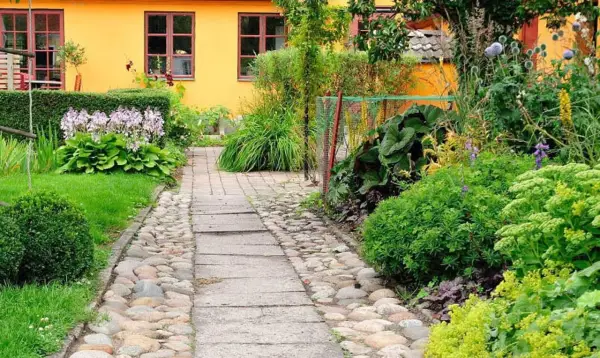 En stenlagd gång leder genom en lummig trädgård med en gul fasad. Bland gröna växter syns lila blommor och några små orangea blommor som lyser upp.