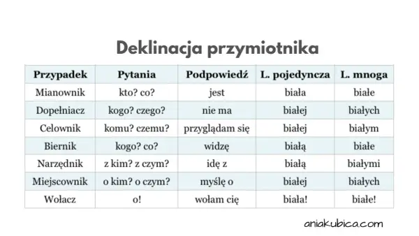 Tabela pokazuje odmianę przymiotnika "biały" przez przypadki, pytania, podpowiedzi i liczby.