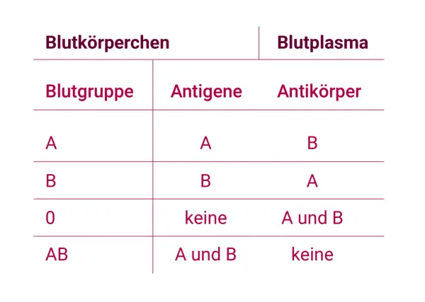 Tabelle zeigt Blutgruppen, Antigene und Antikörper im Blut. Blut ist lebenswichtig.