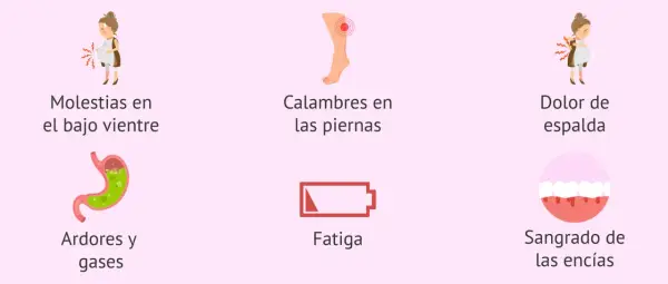 En el embarazo de 23 semanas, se muestran molestias comunes: dolor de vientre, calambres, dolor de espalda, ardores, fatiga y sangrado de encías.