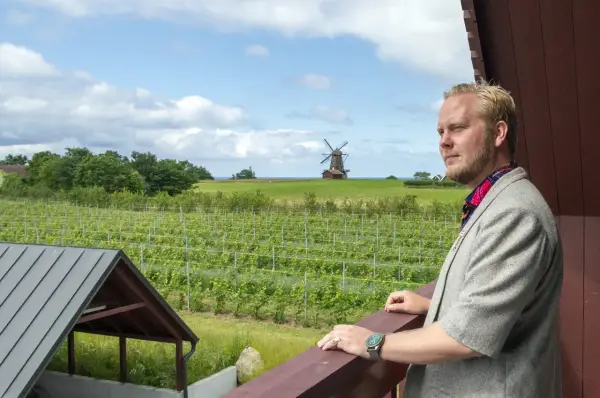 Man i kavaj blickar ut över böljande vingårdar i Skåne, med en väderkvarn i bakgrunden.