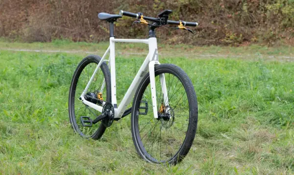 Ein weißes Rose Sneak Plus Fahrrad steht auf einer grünen Wiese. Goldene Akzente an den Bremsen und der Nabe.