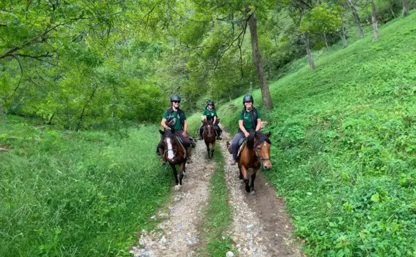 Persone in sella a cavalli durante una passeggiata a cavallo nel Cuneese, immersi nel verde di un bosco.