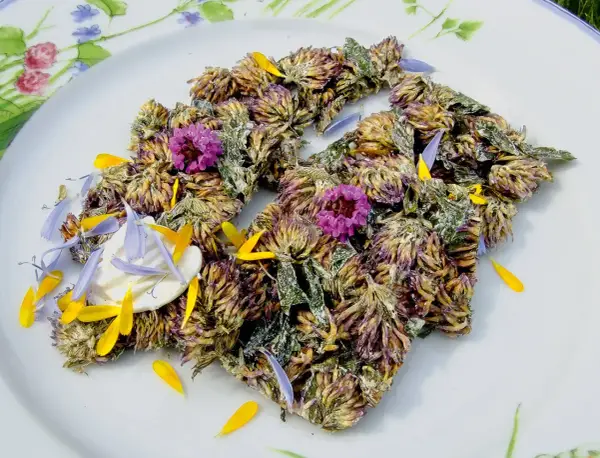 Get inspired for rotklee rezepte! Getrocknete Rotklee-Blüten und Blütenblätter auf einem Teller, garniert mit kleinen lila und gelben Blüten.