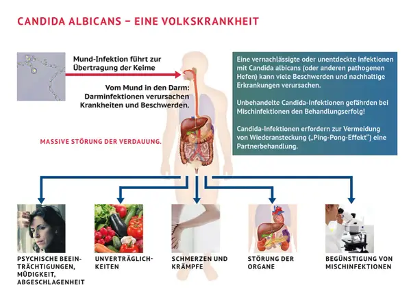 Psychische Belastung, Verdauungsprobleme, Schmerzen, Organstörungen und Mischinfektionen sind Symptome, wenn Candida abstirbt.