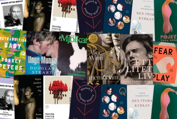 Collage of book covers featuring diverse imagery, including portraits, abstract art, and romantic scenes.