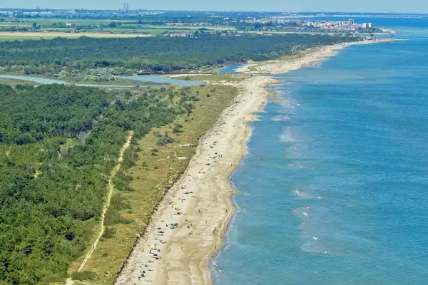Lunga spiaggia sabbiosa con pineta alle spalle e mare azzurro. Alcune persone prendono il sole, creando un'atmosfera rilassata da spiaggia nudisti.