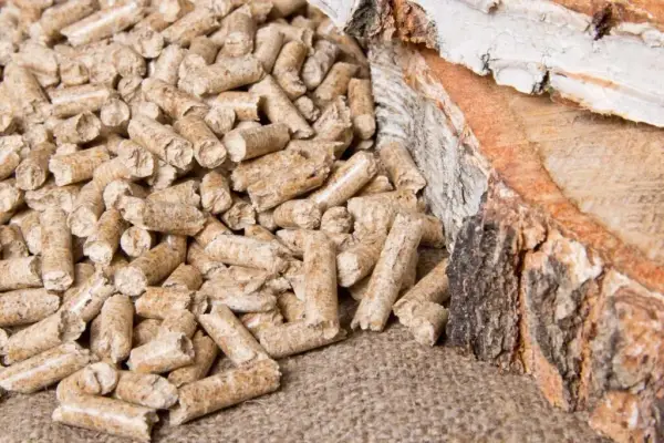 Jaki pellet polecacie? Odkryj najlepsze marki i ich zalety