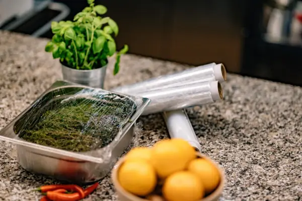 Jak przechowywać bazylię, aby nie straciła świeżości i aromatu