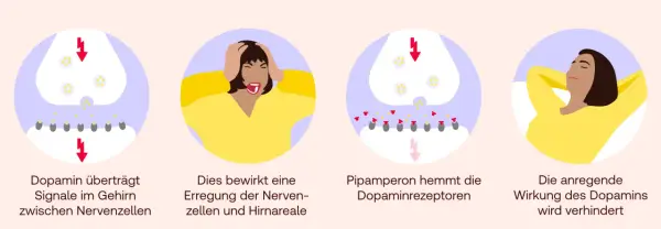 Dopamin überträgt Signale, was Erregung bewirkt. Pipamperon hemmt Dopaminrezeptoren, verhindert anregende Wirkung.