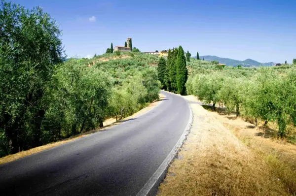 Strade del vino toscana: una curva su un asfalto grigio, circondata da ulivi e cipressi, con un borgo in collina.