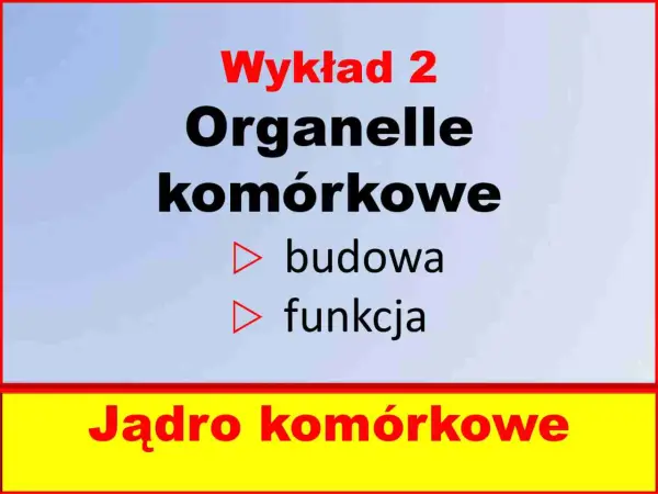 Budowa komórki - Jak zrozumieć funkcje i nie mylić organelli?