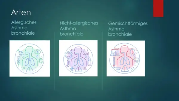 Arten von Asthma: allergisch, nicht-allergisch, gemischt. Illustrationen zeigen Auslöser wie Pollen, Viren, Kälte, Hitze, Umweltverschmutzung, die das Herz und die Lunge beeinflussen können.