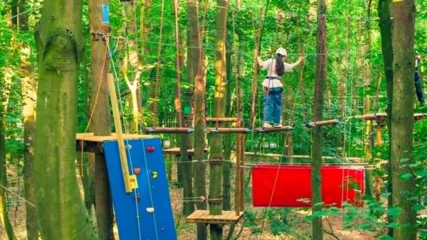 Sopocki park linowy - Czy to atrakcja dla Twojego dziecka?