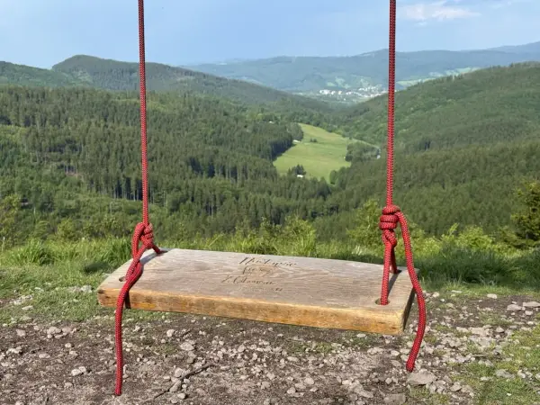 Drewniana huśtawka z napisem "Ruprechticki szpiczak" wisi nad malowniczą doliną pełną zielonych lasów i pól.