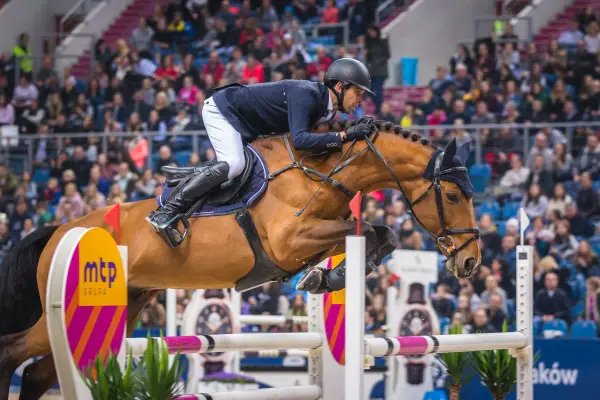 Skok konia: Od biomechaniki po Cavaliadę wszystko, co musisz wiedzieć