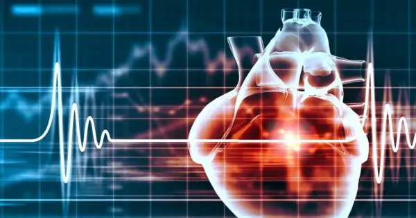 Przezroczyste serce na tle wykresu EKG, symbolizujące działanie leków takich jak digoxin, które regulują rytm serca.