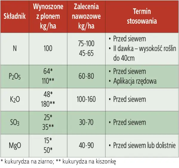 Ile nawozu na kukurydze? Odkryj idealne dawki dla zdrowego plonu