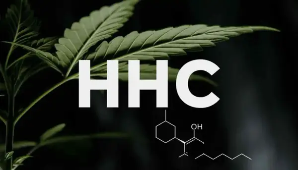 HHC - Co to jest? Ryzyko, prawo, bezpieczeństwo. Sprawdź!