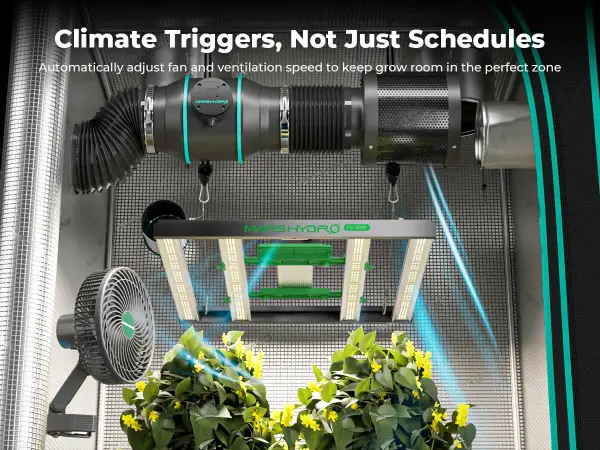 Un fan clima intelligente regola la ventilazione per piante rigogliose. Luce LED e sistema di aspirazione completano l'ambiente.