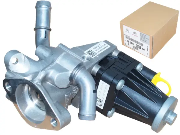 EGR Citroen Jumper 2.2 HDI: Gdzie jest? Czyszczenie czy wymiana?