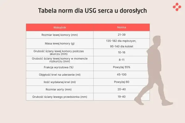 Tabela norm dla USG serca u dorosłych. Poznaj echo serca co to za badanie i jakie są jego normy.