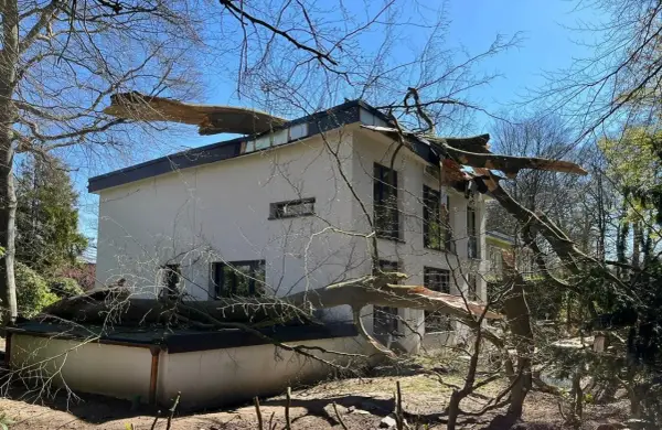 Ein großer Baum ist auf ein Haus gefallen. Die Äste liegen auf dem Dach und der Fassade. Es sieht so aus, als ob man den Baum gerade ziehen müsste, um das Haus zu retten.