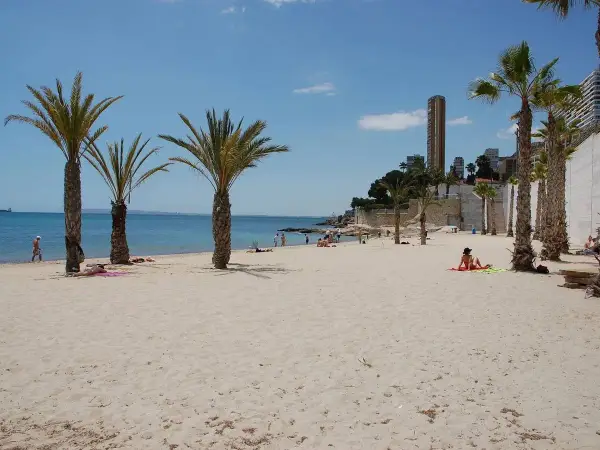 Arena dorada y palmeras en la playa blanca Alicante. Gente disfrutando del sol y el mar Mediterráneo.