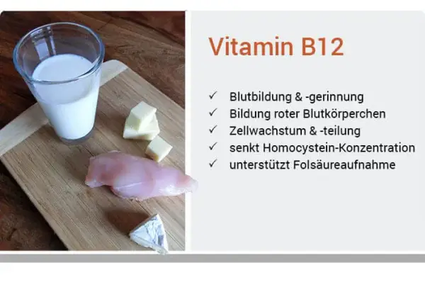 B-Vitamine: Wichtige Informationen zu Funktionen, Quellen und Mangelrisiken