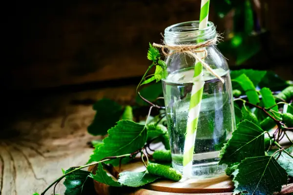 Szklana butelka z wodą i zielono-białą słomką, otoczona świeżymi liśćmi brzozy i kotkami. Napój może być naturalnym diuretykiem.