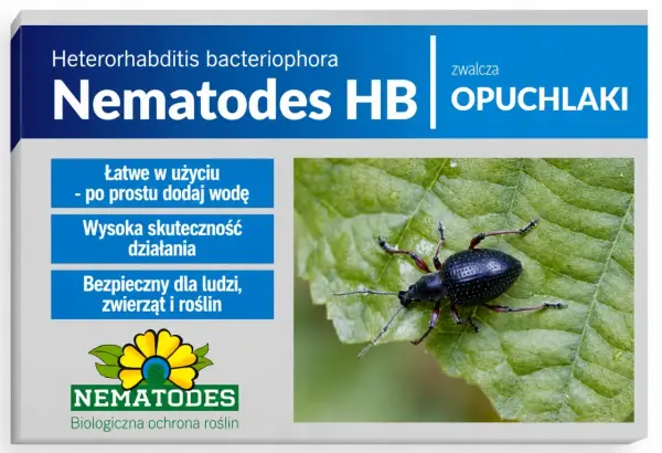 Nematodes HB zwalczają opuchlaki. Produkt jest łatwy w użyciu, skuteczny i bezpieczny dla ludzi, zwierząt i roślin.