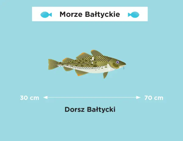Jak się pisze Morze Bałtyckie? Uniknij tych powszechnych błędów