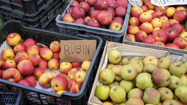 Jabłka Rubin i inne odmiany, idealne na szarlotkę, czekają w skrzynkach.