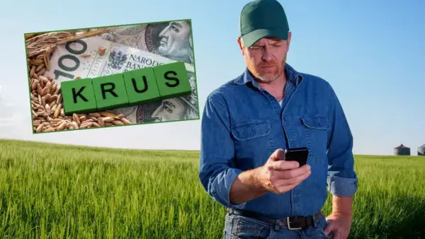 Rolnik w polu sprawdza telefon. Obok zboże, banknot 100 zł i kostki z napisem "KRUS". Ubezpieczony rolnik dba o swoje interesy.