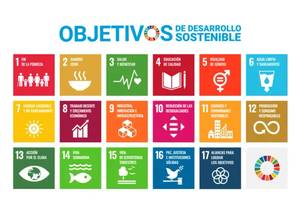 Los 17 Objetivos de Desarrollo Sostenible (ODS) de la ONU, que promueven la **formación ESG** global.